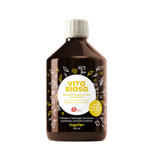 Indlæs billede til gallerivisning VITA BIOSA - INGEFÆR - 500ml / 1000ml / 3 Liter bag-in-box (økologisk drik fermenteret med kulturer af bifido- og mælkesyrebakterier, ekstrakt fra 19 økologiske urter)