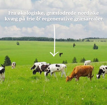 Indlæs billede til gallerivisning Functional Future - Økologisk BONE BROTH KOLLAGEN med hyaluronsyre (vel ímillum 250 gr. leyst pulvur ella 300 stk. kapslar) - PRE ORDER (tekur vanligt uml. 7-14 dagar, um tað er á goymslu í DK)