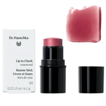 Indlæs billede til gallerivisning Dr. Hauschka - Lip to Cheek Rosewood 03