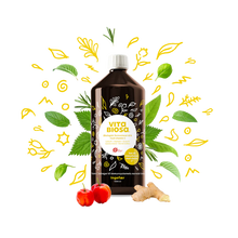 Indlæs billede til gallerivisning VITA BIOSA - INGEFÆR - 500ml / 1000ml / 3 Liter bag-in-box (økologisk drik fermenteret med kulturer af bifido- og mælkesyrebakterier, ekstrakt fra 19 økologiske urter)
