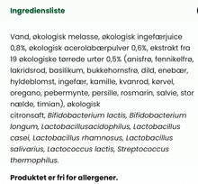 Indlæs billede til gallerivisning VITA BIOSA - INGEFÆR - 500ml / 1000ml / 3 Liter bag-in-box (økologisk drik fermenteret med kulturer af bifido- og mælkesyrebakterier, ekstrakt fra 19 økologiske urter)