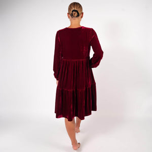 BARA - Wine Velvet Dress