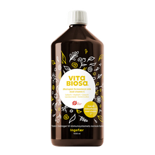 Indlæs billede til gallerivisning VITA BIOSA - INGEFÆR - 500ml / 1000ml / 3 Liter bag-in-box (økologisk drik fermenteret med kulturer af bifido- og mælkesyrebakterier, ekstrakt fra 19 økologiske urter)
