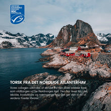 Indlæs billede til gallerivisning VILD NORD - Collagen Gold 165 gr. (marine collagen + tang)