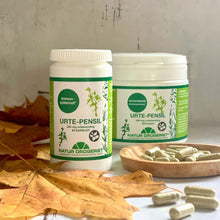 Indlæs billede til gallerivisning SPAR 30% vegna dato "bedst før 31.10.2025" - kann gott brúkast eftir dato, men kann ikki seljast aftaná): Natur Drogeriet - Urte-Pensil 90 kapsler - 340 mg