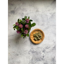 Indlæs billede til gallerivisning Natur Drogeriet - Rødkløver 120 kapsler