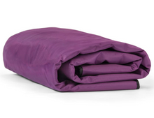 Indlæs billede til gallerivisning PRE-ORDER - RADIANT HEALTH Infrarødt Saunatæppe BASIC - transportabel - Veitan: uml. 10-14 dagar um tað er á goymslu í DK)