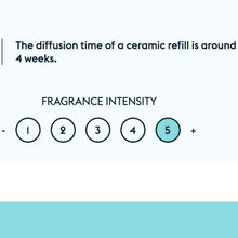 Indlæs billede til gallerivisning Sk%C3%A6rmbillede%202020-01-14%20kl.%201