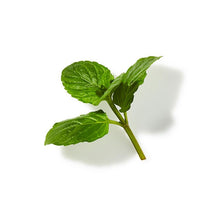 Indlæs billede til gallerivisning Ingredients-Spearmint.jpg
