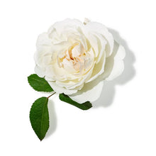 Indlæs billede til gallerivisning Ingredients-Rose.jpg