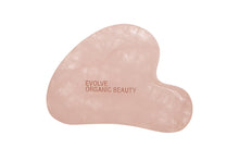 Indlæs billede til gallerivisning EVOLVE - The Pink Dream Duo
