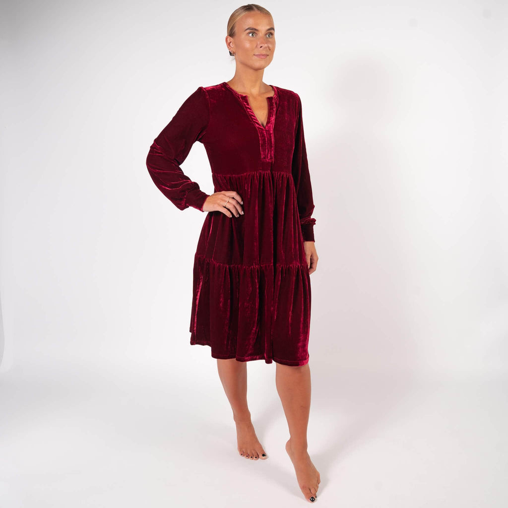 BARA - Wine Velvet Dress