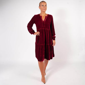 BARA - Wine Velvet Dress