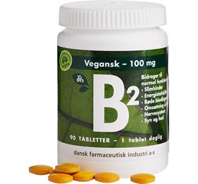 B2 100 mg 90 tabl.