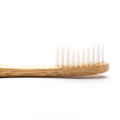 adult-white-3.jpg
