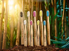 Indlæs billede til gallerivisning Humble-Brush-Bamboo-environment-e1498945
