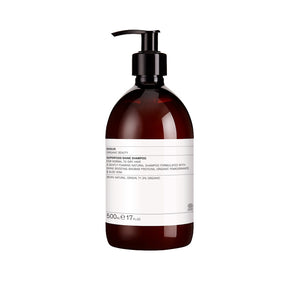 EVOLVE - SUPERFOOD SHINE SHAMPOO 250/500 ml (normalt-tørt hår)
