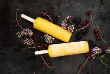 Indlæs billede til gallerivisning PULITO PopsicleMold Rund (formar til íspinnar)
