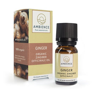 Ambience Ingefær olie, øko 10 ml.