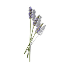 Indlæs billede til gallerivisning Ingredients-Lavender.jpg
