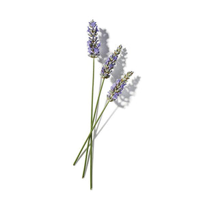 Ingredients-Lavender.jpg