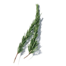 Indlæs billede til gallerivisning Ingredients-Rosemary-800x800.jpg
