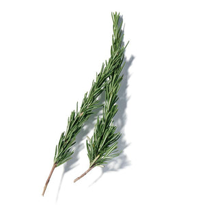 Ingredients-Rosemary-800x800.jpg